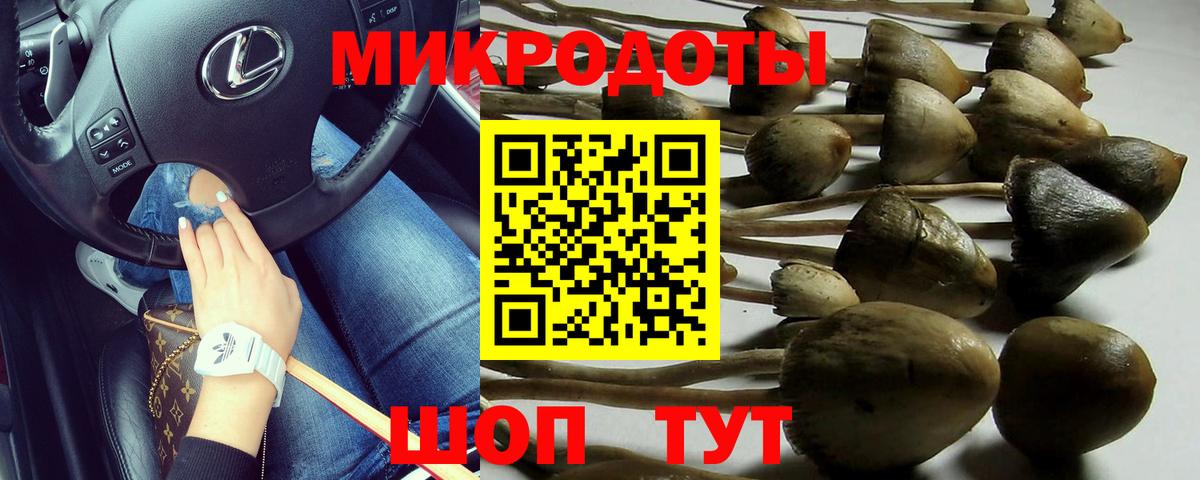 Псилоцибиновые грибы Psilocybe  Вход с VPN  Канаш 